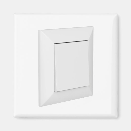 Weißlichtschalter Magnet (Vorne)