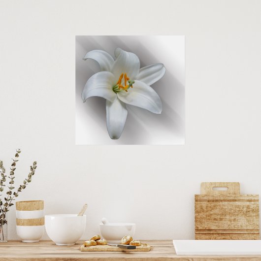 Weißlilie Poster (Küche)