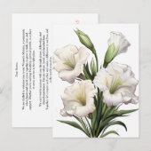 WEISSLILY POSTKARTE (Vorne/Hinten)