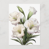 WEISSLILY POSTKARTE (Vorderseite)