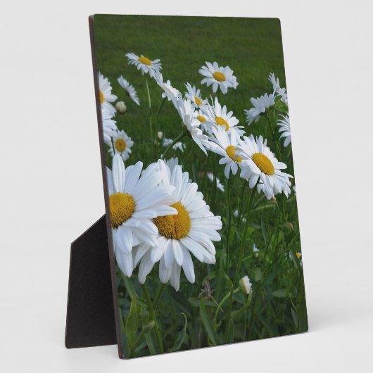 Weißmehl Fotoplatte (Seite)