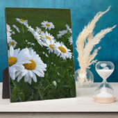 Weißmehl Fotoplatte (Seite)