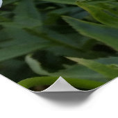 Weißmehl Poster (Ecke)