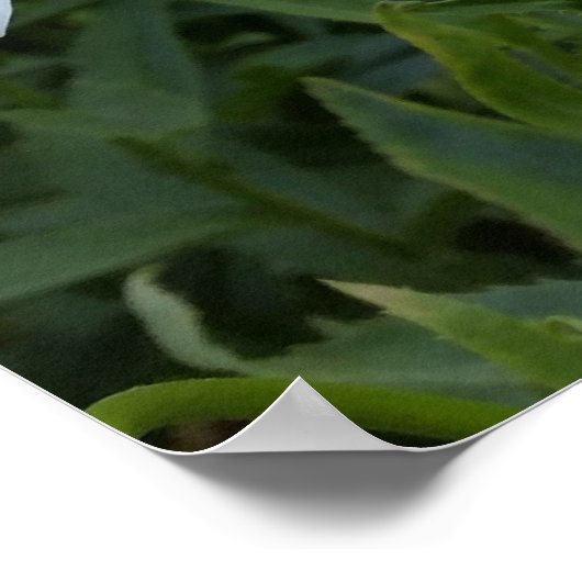 Weißmehl Poster (Ecke)