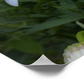 Weißmehl Poster (Ecke)