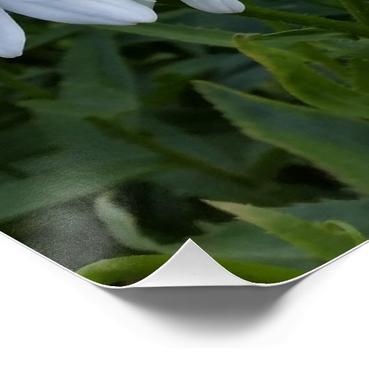 Weißmehl Poster (Ecke)