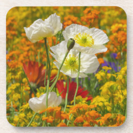 Weißmohn, die um die farbenfrohen Blume wachsen Getränkeuntersetzer