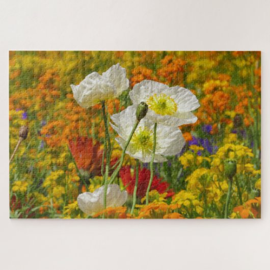 Weißmohn, die um die farbenfrohen Blume wachsen Puzzle (Horizontal)