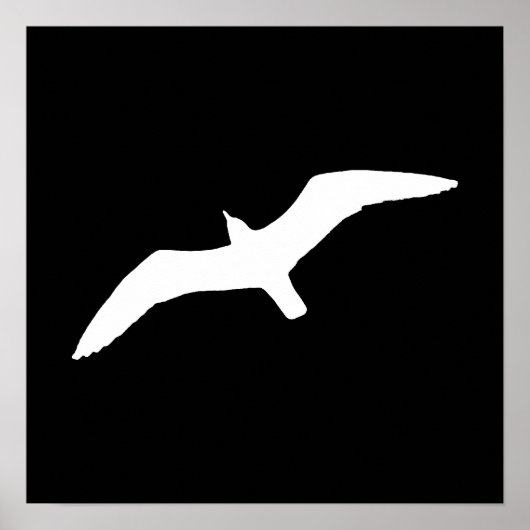 Weißmöwe Poster (Vorne)