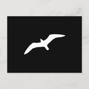 Weißmöwe Postkarte