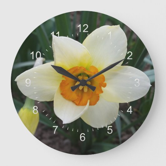Weißnarzt Große Wanduhr (Vorderseite)