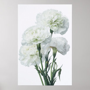 Weißnelken Blume Art Print Poster