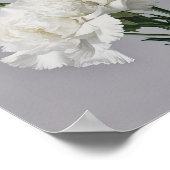 Weißnelken Blume Art Print Poster (Ecke)