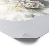 Weißnelken Blume Art Print Poster (Ecke)