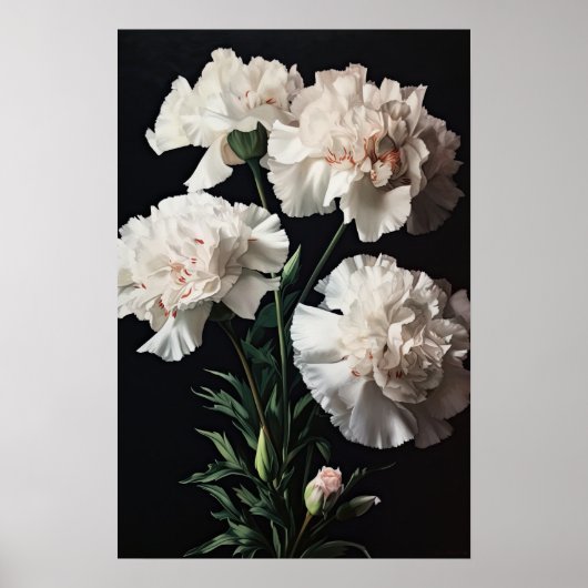 Weißnelken Blume Art Print Poster (Vorne)