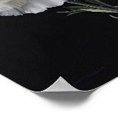 Weißnelken Blume Art Print Poster (Ecke)