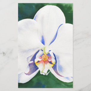 Weißorchid Briefpapier