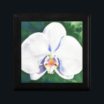 Weißorchid Erinnerungskiste<br><div class="desc">Original romantisch weiß orchid Aquarellmalerei von H Cooper</div>