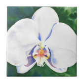 Weißorchid Fliese (Vorderseite)