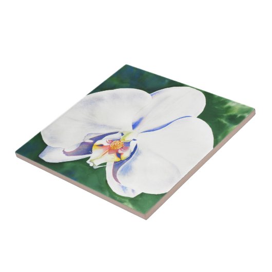 Weißorchid Fliese (Seite)