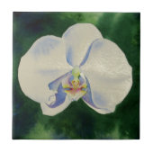 Weißorchid Fliese (Vorderseite)