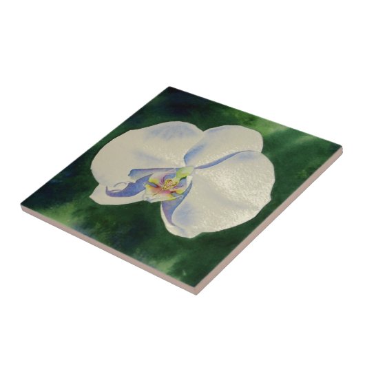 Weißorchid Fliese (Seite)