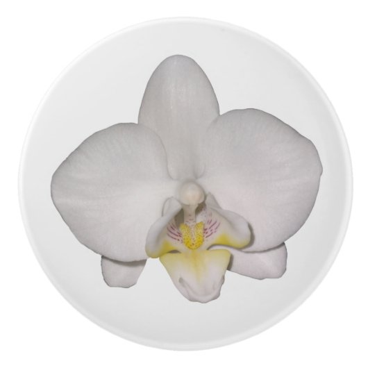 Weißorchid Keramikknauf (Vorderseite)