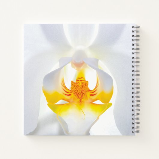 Weißorchid Notizblock (Rückseite)