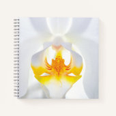 Weißorchid Notizblock (Vorderseite)