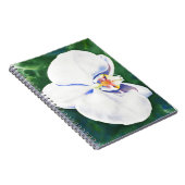 Weißorchid Notizblock (Rechte Seite)