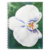 Weißorchid Notizblock (Vorderseite)