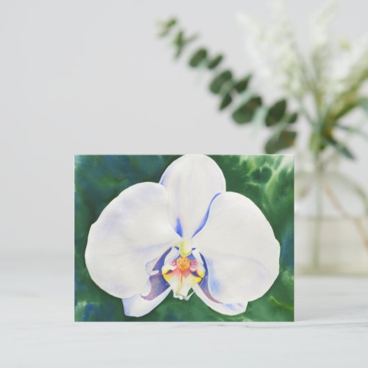 Weißorchid Postkarte (Stehend Vorderseite)