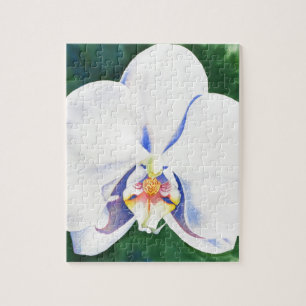 Weißorchid Puzzle