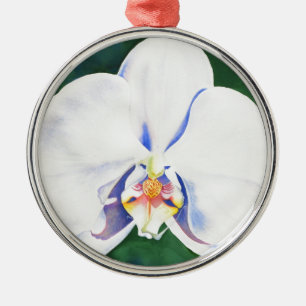 Weißorchid Silbernes Ornament