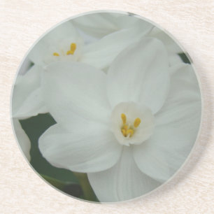 Weißorchid Untersetzer