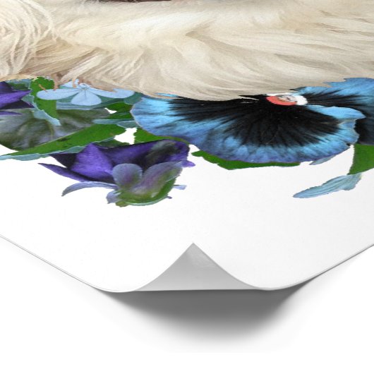 Weißpekingisch mit Stiefmütterchen Poster (Ecke)