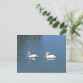 Weißpelikan Postkarte (Stehend Vorderseite)