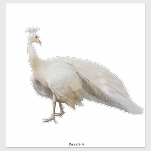 Weißpfau Aufkleber (Blatt)