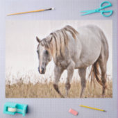 Weißpferd Seidenpapier (Basteln)