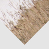 Weißpferd Seidenpapier (Ausschnitt)