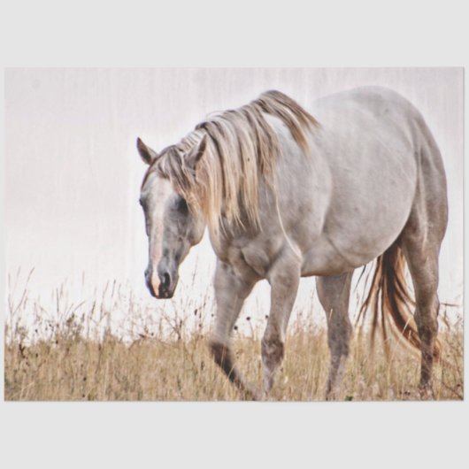 Weißpferd Seidenpapier (Vorderseite)