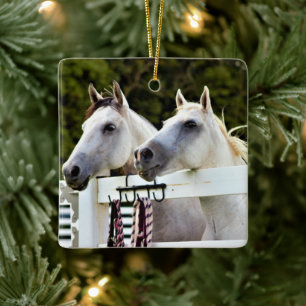 Weißpferde-Foto Keramikornament