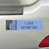 Weißreißer Nuthatch Malerei Original Vogelkunst Autoaufkleber (Auf Auto)