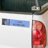 Weißreißer Nuthatch Malerei Original Vogelkunst Autoaufkleber (Auf Lkw)