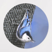 Weißreißer Nuthatch Malerei Original Vogelkunst Etiketten (Design 2)