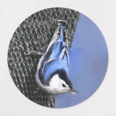 Weißreißer Nuthatch Malerei Original Vogelkunst Etiketten (Design 1)