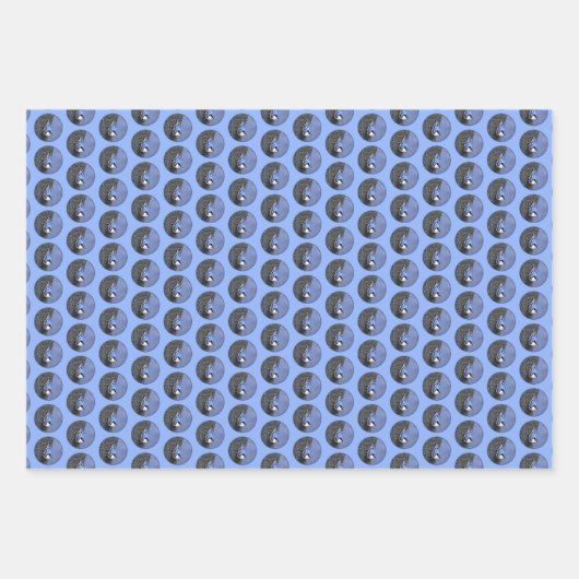 Weißreißer Nuthatch Malerei Original Vogelkunst Geschenkpapier Set (Vorderseite)