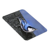 Weißreißer Nuthatch Malerei Original Vogelkunst Magnet (Rechte Seite)