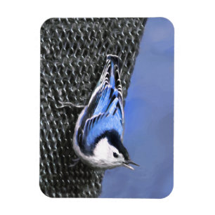 Weißreißer Nuthatch Malerei Original Vogelkunst Magnet