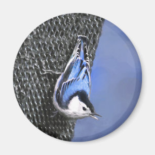 Weißreißer Nuthatch Malerei Original Vogelkunst Magnet